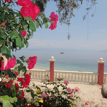 Apartments Corfu Sun Sea Side Benitses  Dış mekan fotoğraf
