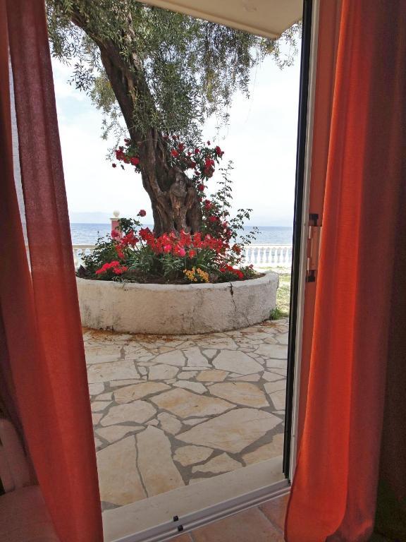 Apartments Corfu Sun Sea Side Benitses  Oda fotoğraf